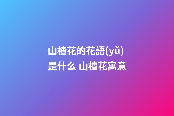 山楂花的花語(yǔ)是什么 山楂花寓意
